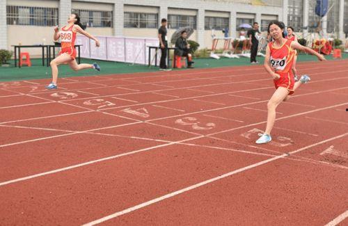 瓜老师.体育圈粉丝,激情燃烧的体育盛宴