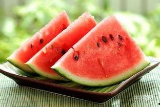 吃瓜视频反差合集 今日吃瓜热门大瓜必看大瓜网红,吃瓜视频反差合集，网红大瓜一网打尽！