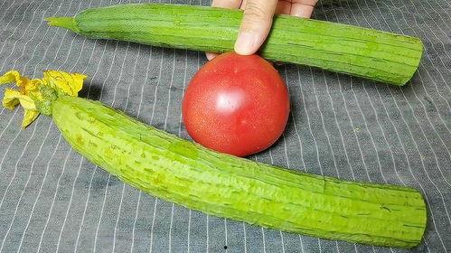 吃瓜视频反差合集 今日吃瓜热门大瓜必看大瓜网红,吃瓜视频反差合集，网红大瓜一网打尽！