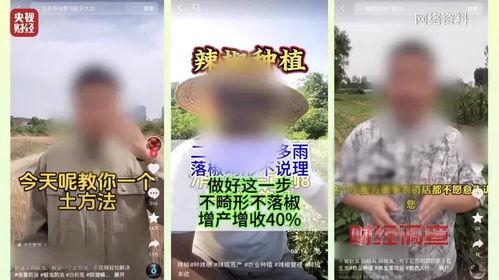 黑料热点入口免费入口 热心的朝阳群众吃瓜51,朝阳群众吃瓜51背后的故事