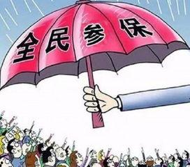 黑料热点入口免费入口 热心的朝阳群众吃瓜51,朝阳群众吃瓜51背后的故事