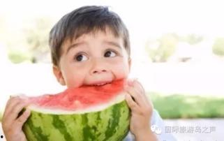 热门大瓜每日必吃 吃瓜视频大全高清,吃瓜视频大全，高清解析，一网打尽