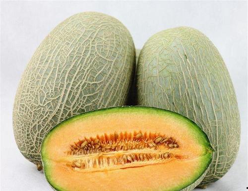 热门大瓜每日必吃大瓜合集 热门大瓜热心的朝阳爆料,朝阳爆料，热点事件一网打尽