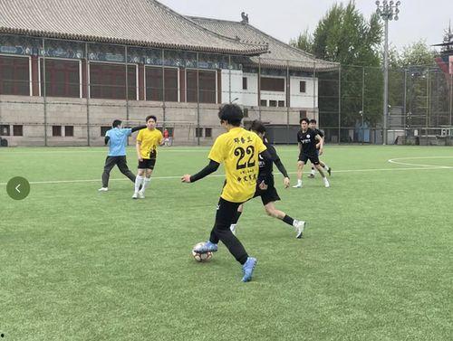 瓜在体育圈是什么意思