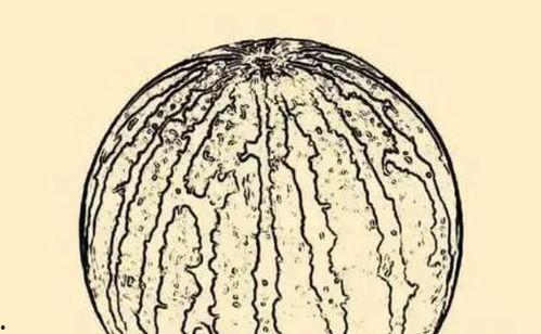 2024大瓜事件,揭秘娱乐圈风云变幻